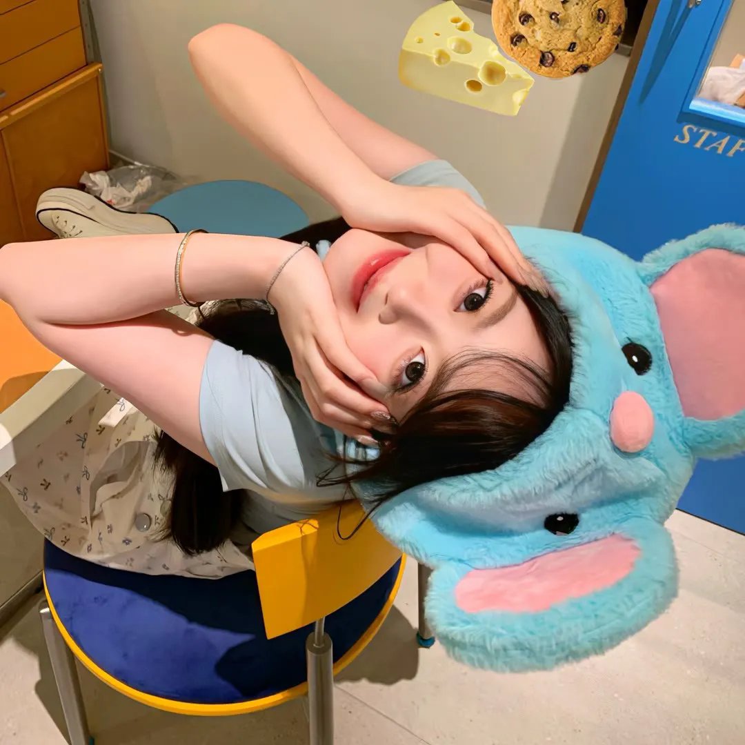 开放日